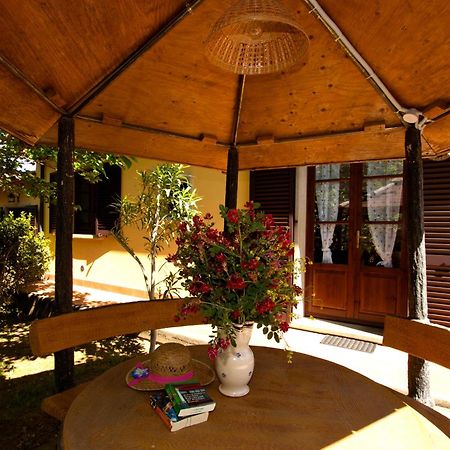 Agriturismo I Cerroni Montescudaio Eksteriør billede