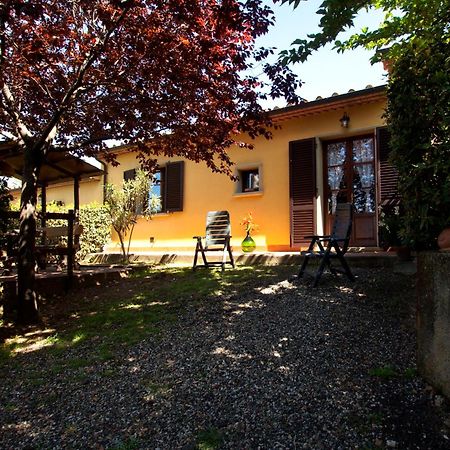 Agriturismo I Cerroni Montescudaio Eksteriør billede