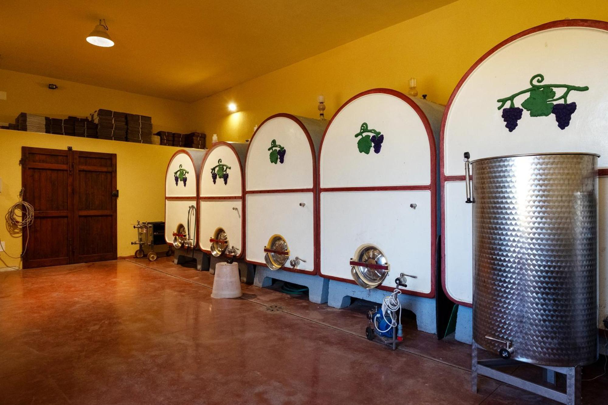 Agriturismo I Cerroni Montescudaio Eksteriør billede