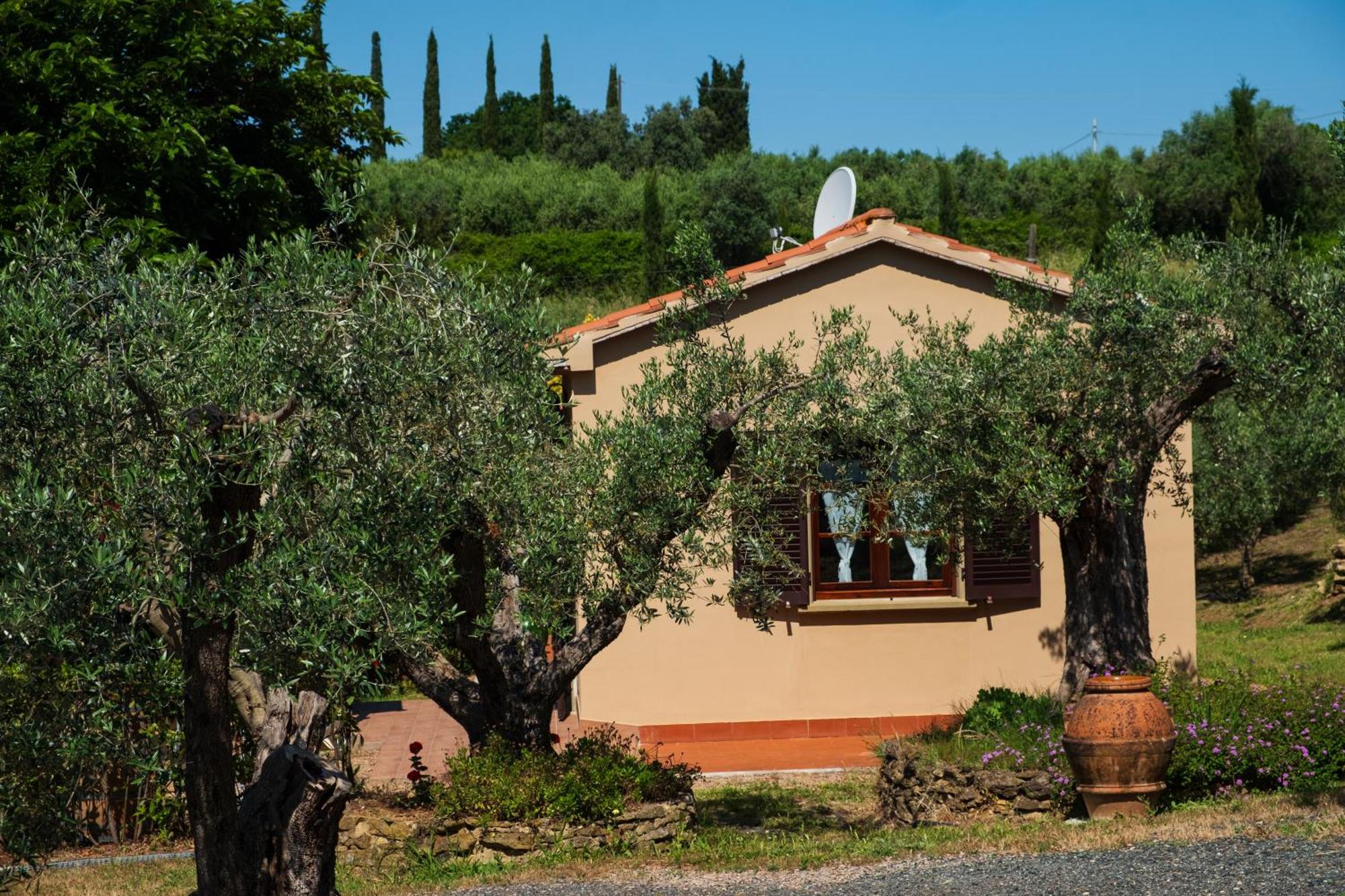 Agriturismo I Cerroni Montescudaio Eksteriør billede