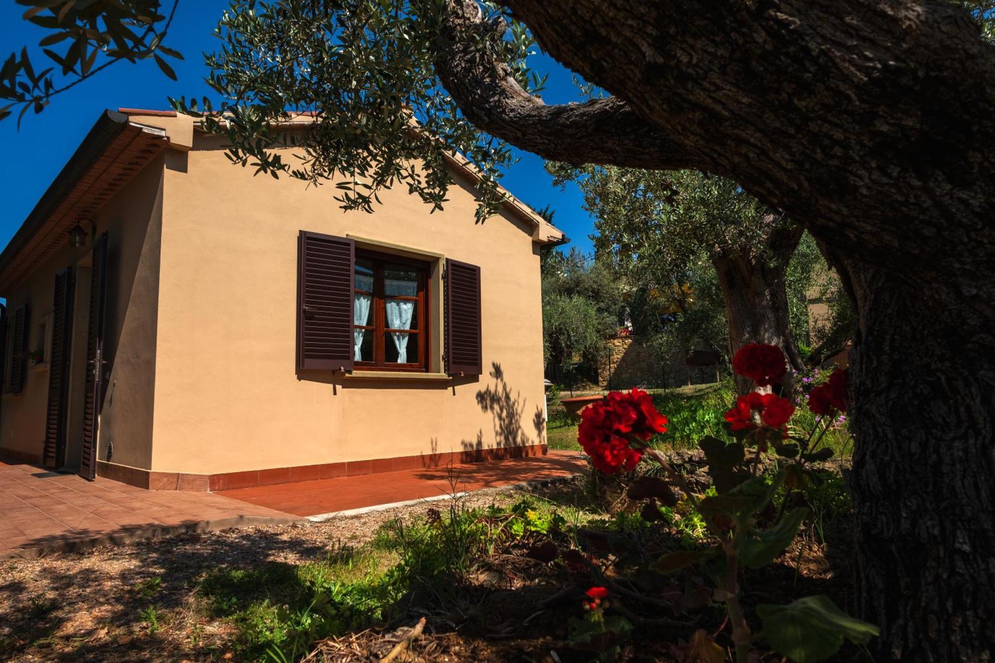 Agriturismo I Cerroni Montescudaio Eksteriør billede